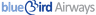 בלו בירד