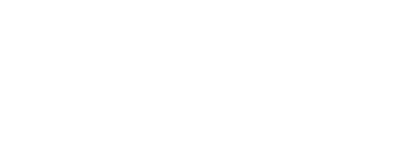 הבימה