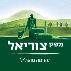 משק צוריאל