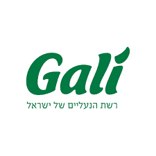 נעלי גלי