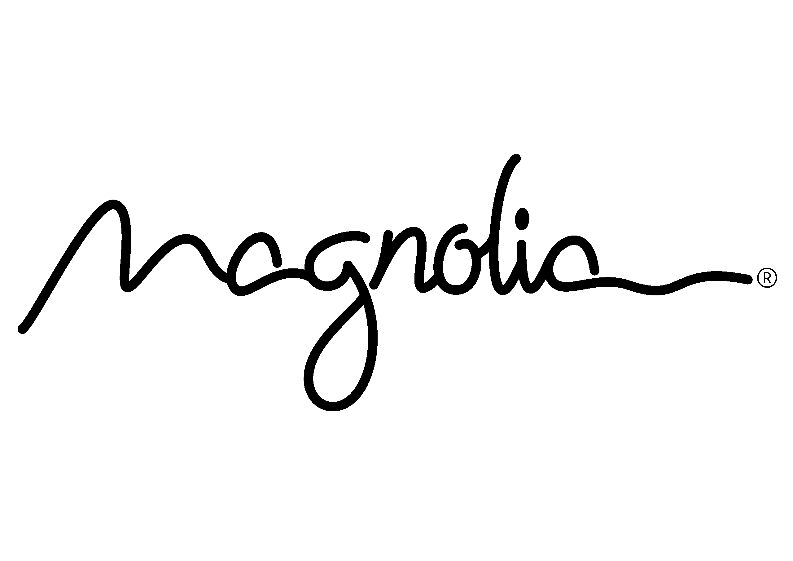 מגנוליה