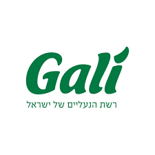 גלי לוגו שירות לקוחות